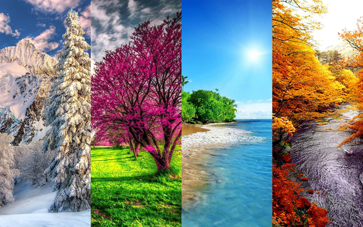 thumb2-4-seasons-4k-winter-spring-summer.png