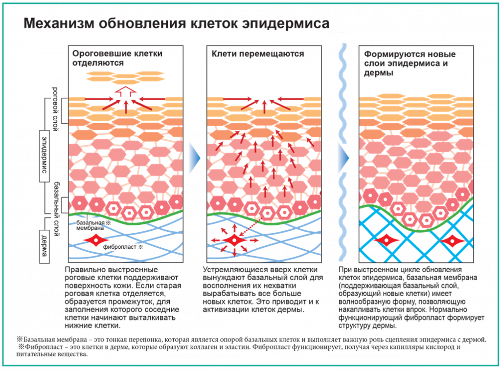 39ca6c29e099ec84bb087fa14ff3b52b.png 39ca6c29e099ec84bb087fa14ff3b52b.png
