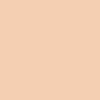 BEAUTY SKIN_Tonalnyj krem-kushon_ton 02_SAMPLE.jpg BEAUTY SKIN_Tonalnyj krem-kushon_ton 02_SAMPLE.jpg